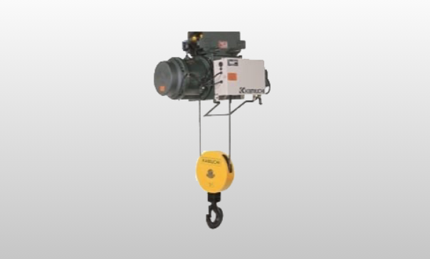Hoist crane